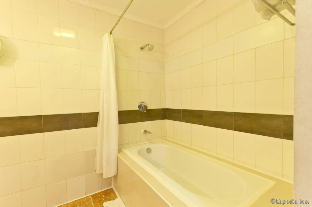 Cebu Dulcinea Hotel - Général