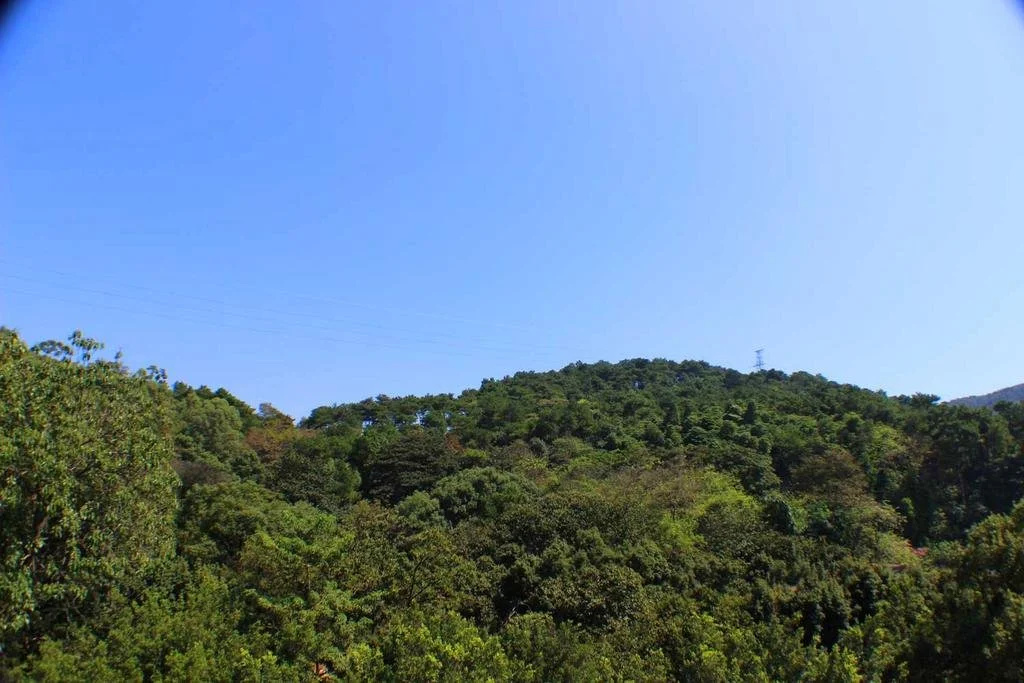 Shaoguan Longyuan Hotel