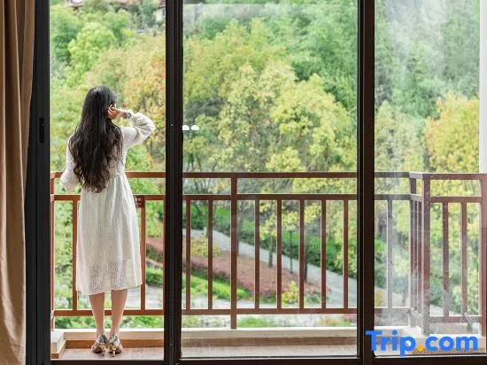 Balcony & Terrace