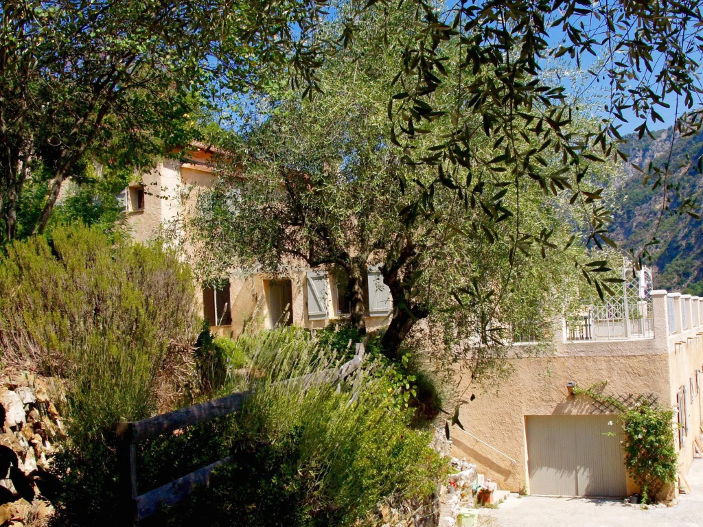 Le Mont D'olivine