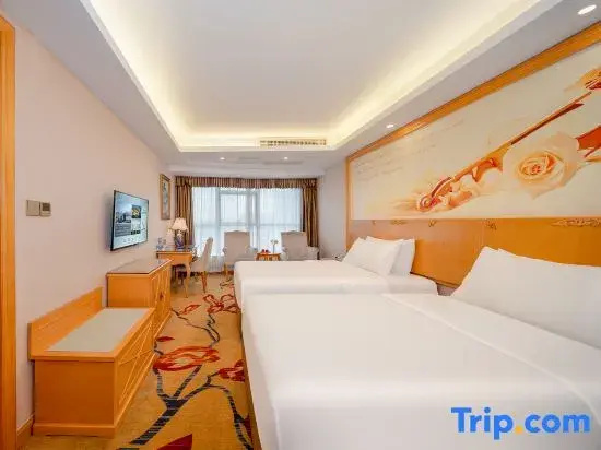Vienna Hotel Dongguan Shatian Humen Port - Chambres