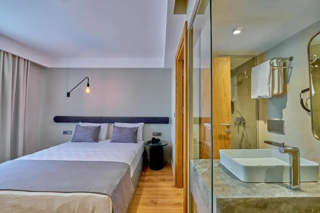 Standard Double room (full double bed)