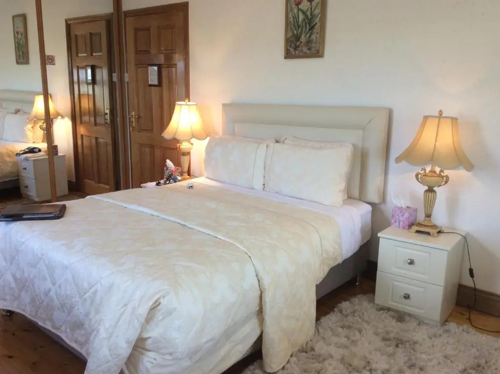 Deluxe Double room (full double bed)