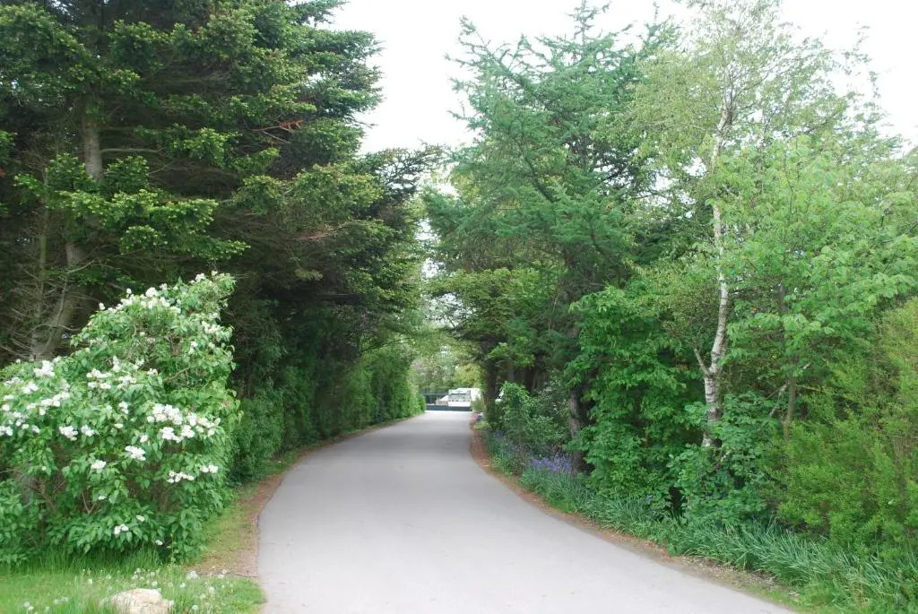 Adventure Park Apartments - фото 7