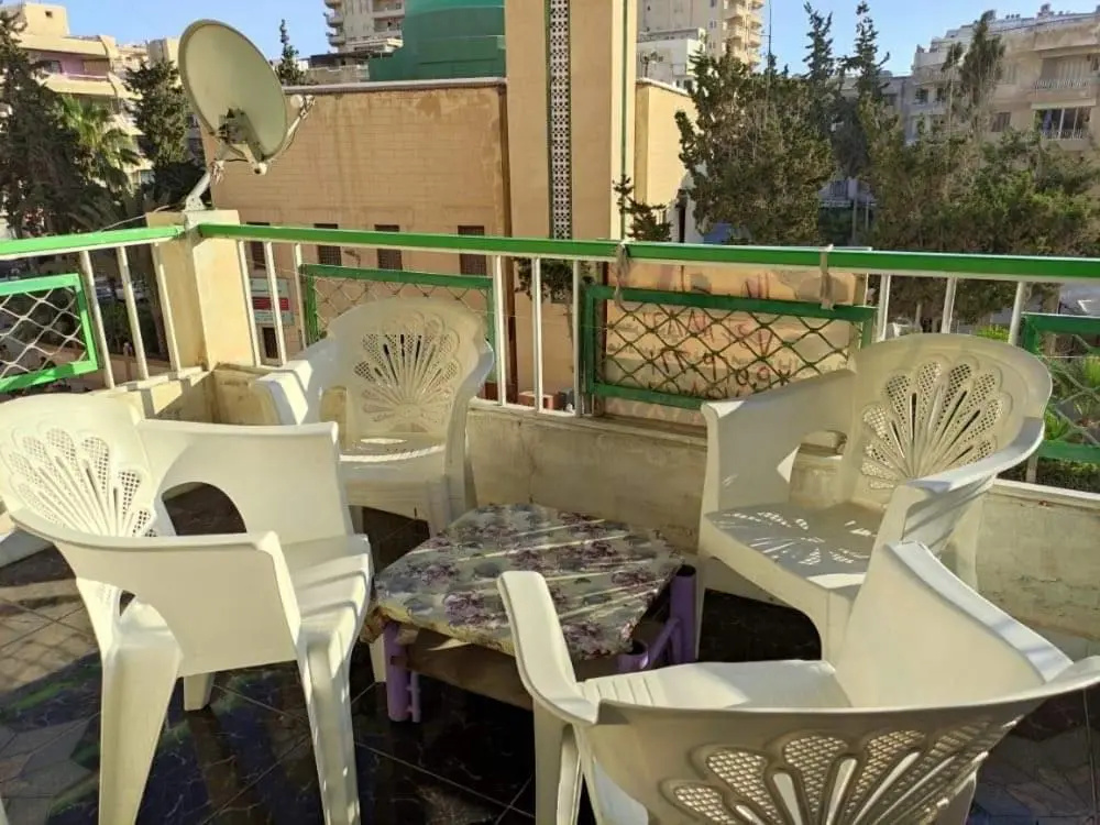 شاطئ النخيل