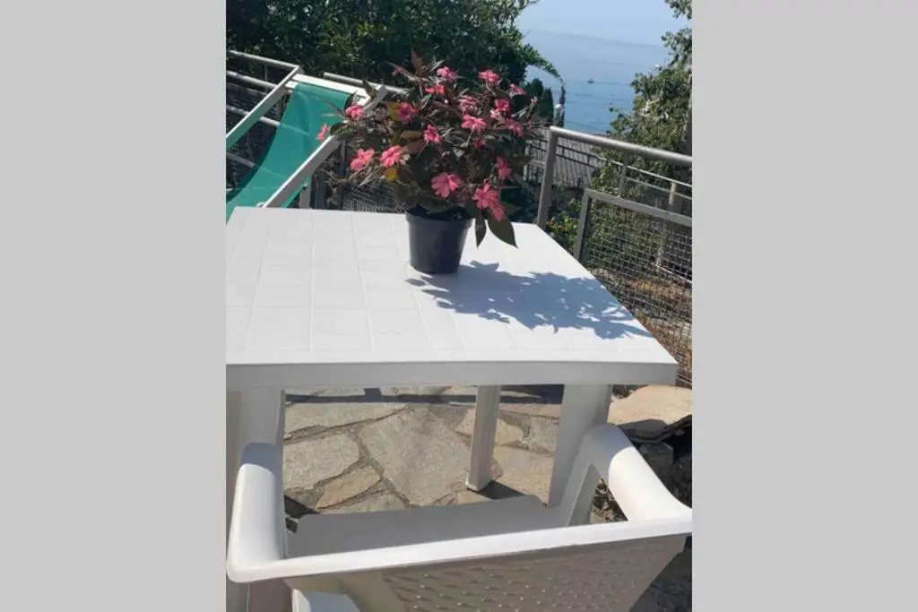 Balcony & Terrace