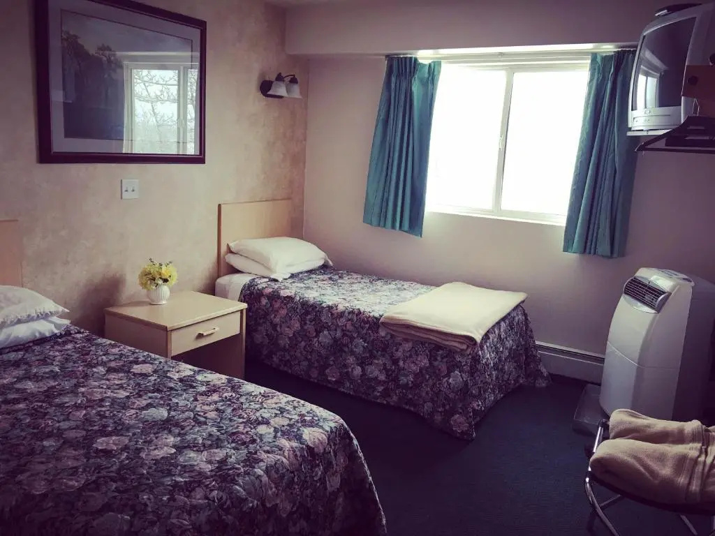 Standard Double room (twin beds)