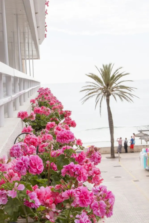 Hotel Voramar Mallorca — 2