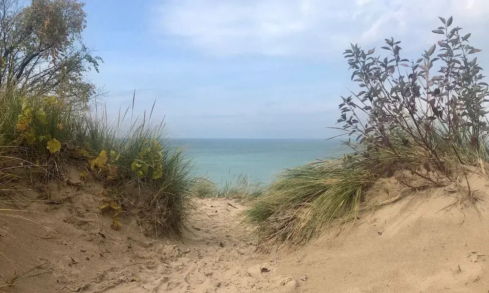Image 20