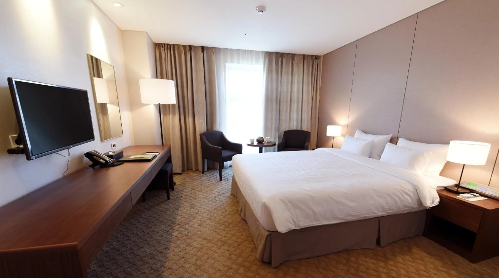 Standard Double room (full double bed)