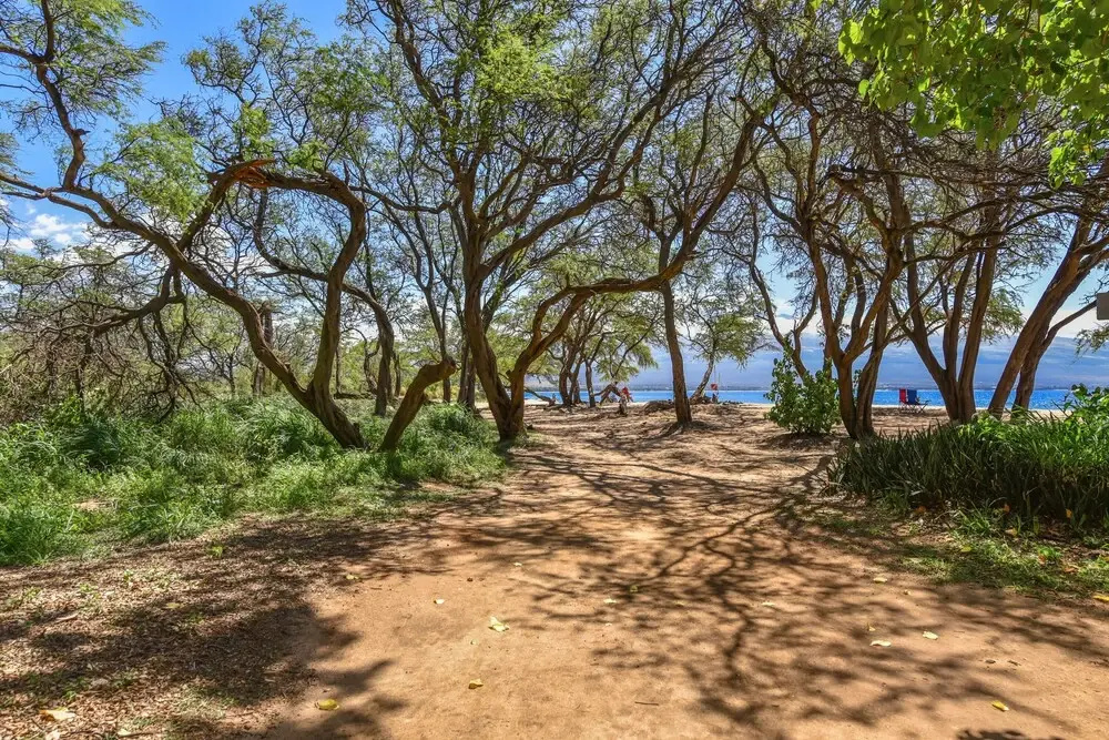Maalaea Banyans 203