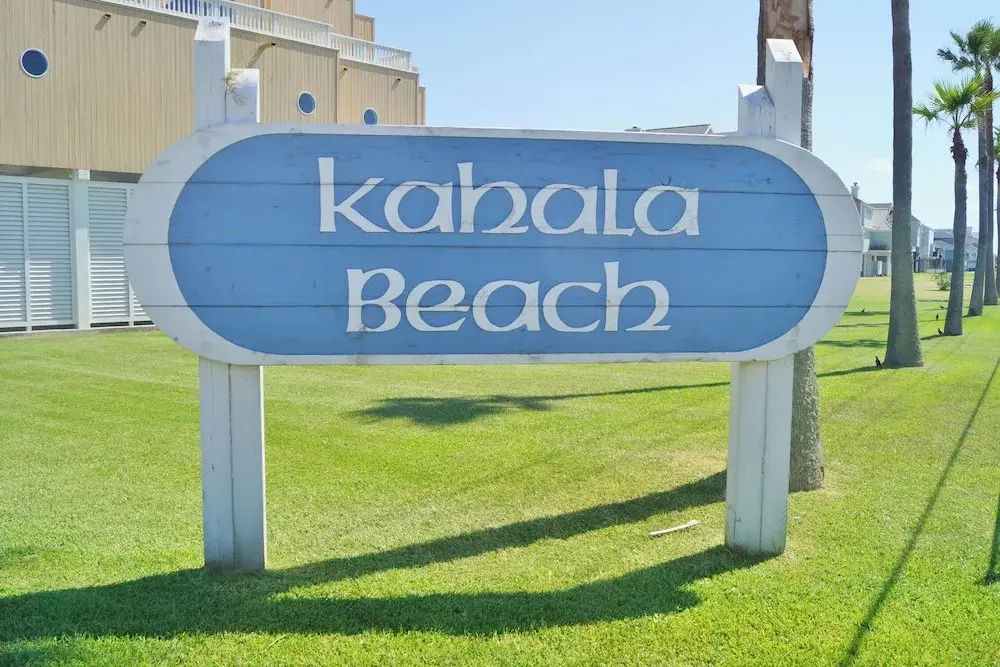 Beachfront Dolphin by Ryson Vacation Rentals