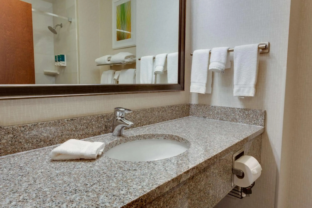 Drury Inn & Suites Baton Rouge - Général