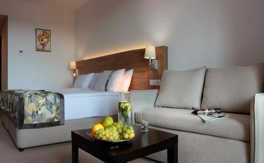 Winery and Spa Starosel - Chambres
