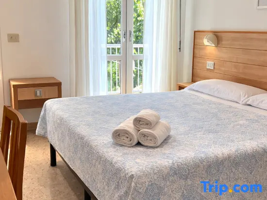 Deluxe Double room (twin beds)