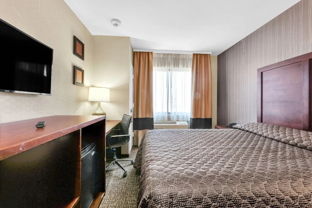Hotel MOCA NYC - Accommodation in New York
