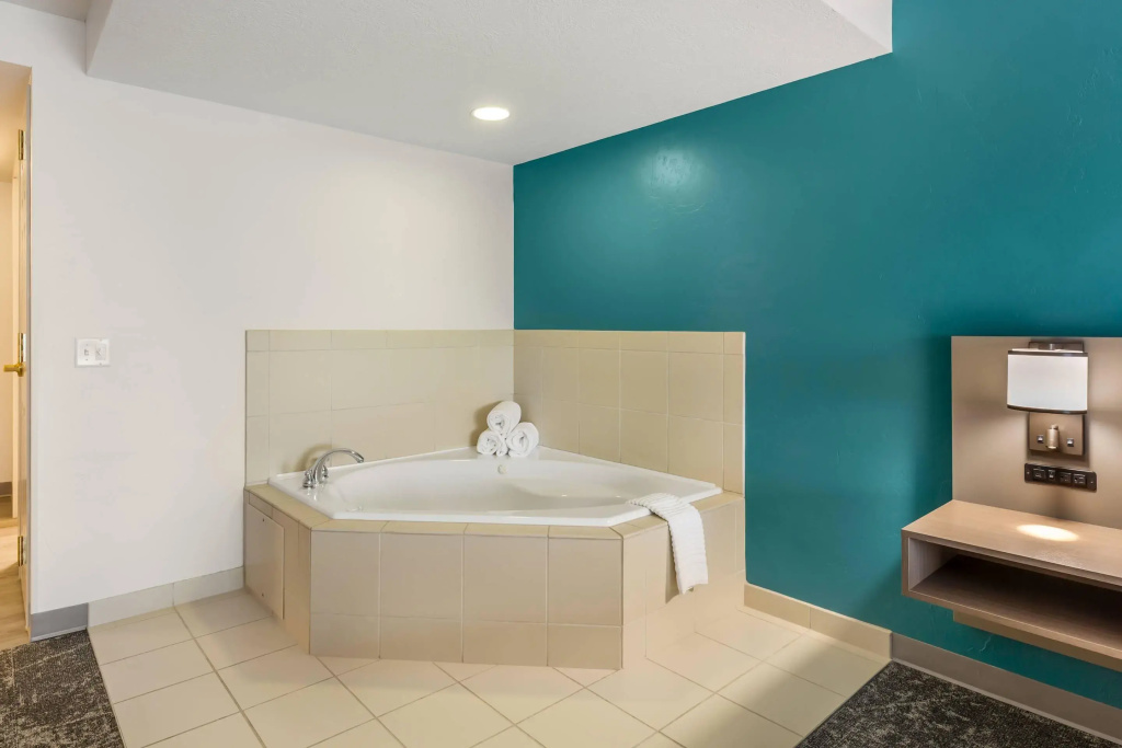 Comfort Inn & Suites Dover - Général