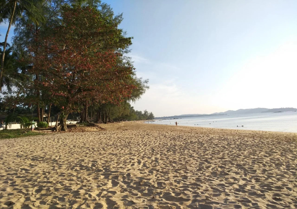 Beach & Waterfront