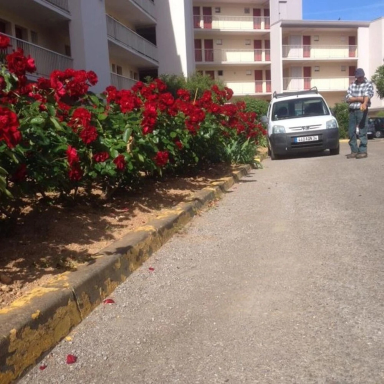 Studio in Sète, With Wonderful sea View and Enclosed Garden - 140 m Fr