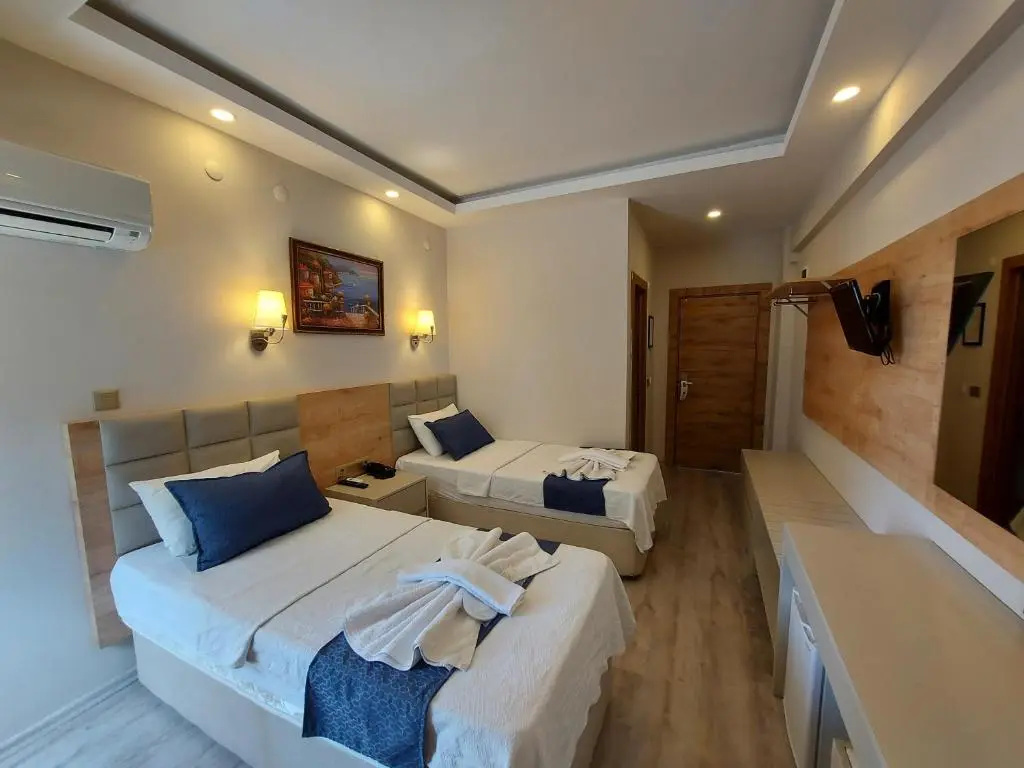 Standard Double room (twin beds)