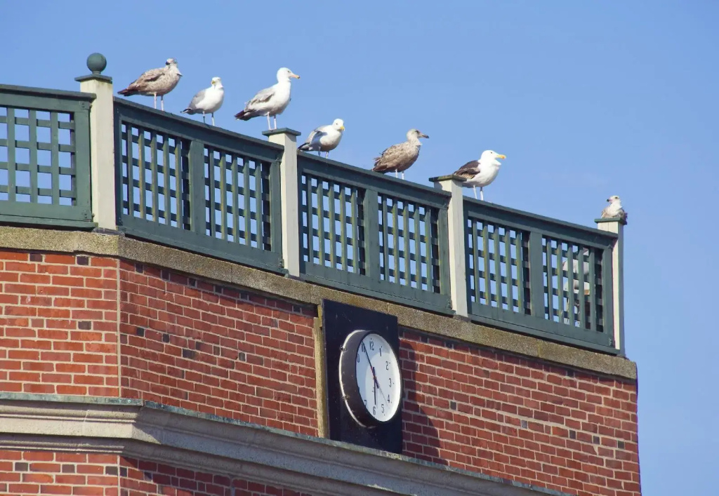 Newport Beach Hotel & Suites - Général