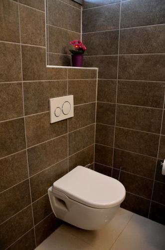 Отель Group & Family House Galant Curaçao, фото 10