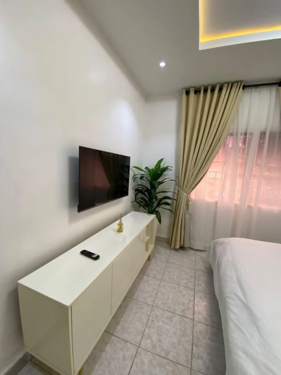 Luxury Apartment