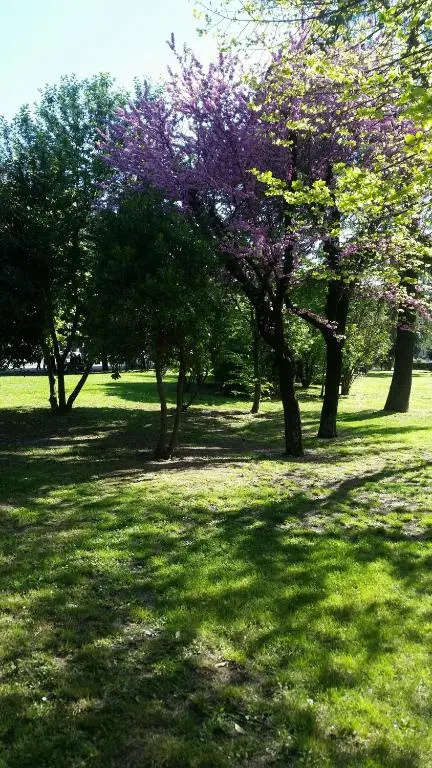 Assisi Garden - Chambres