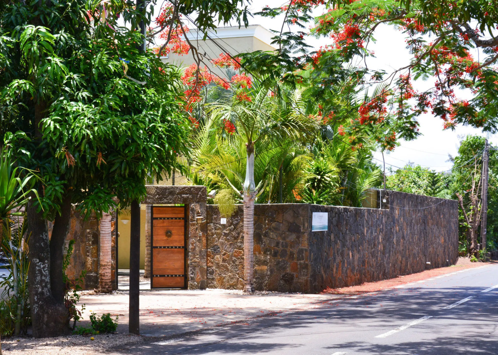 La Margarita - Général