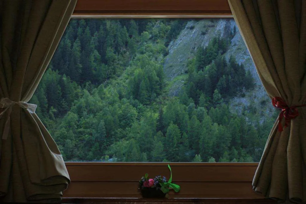 Balcony & Terrace