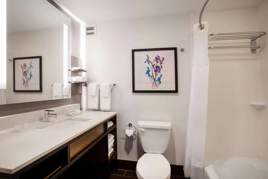 Hilton Garden Inn Nashville/Smyrna - Chambres
