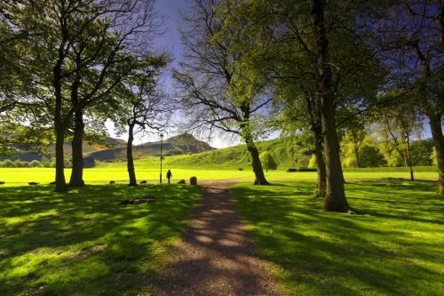 Holyrood Park View