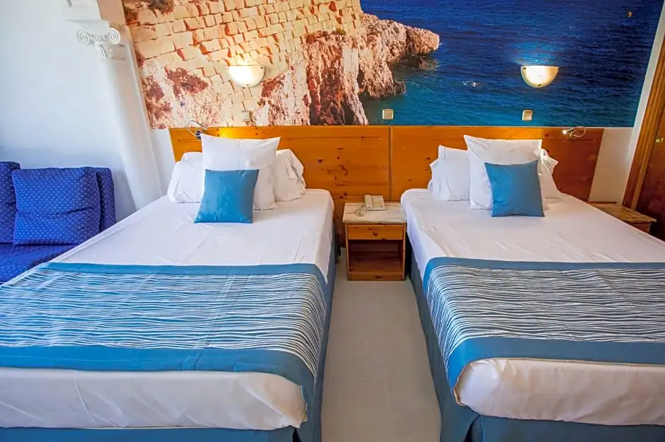 Junior Double room with park view (twin beds)