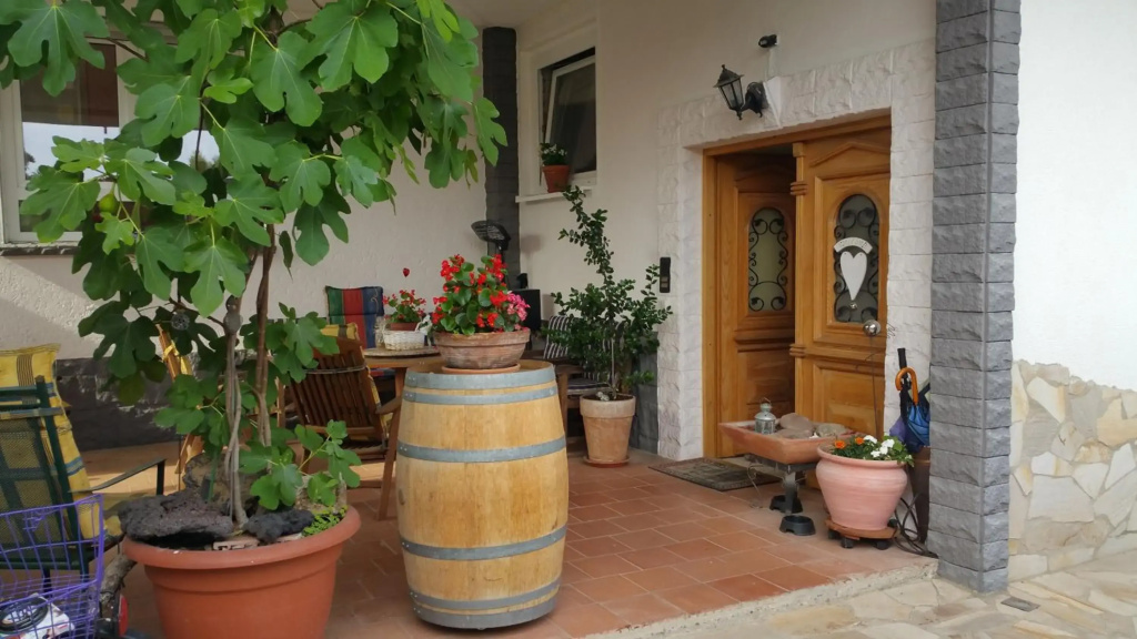 Casa Mia