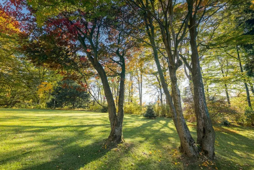 Wellness & Spa hotel Villa Regenhart - Général