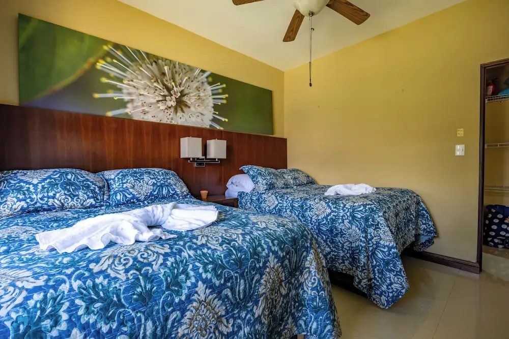 Jaco Sol Quad Plex — 4