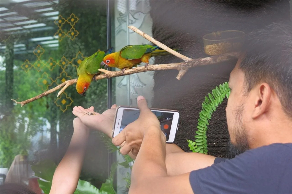 Aviary Bintaro - фото 34