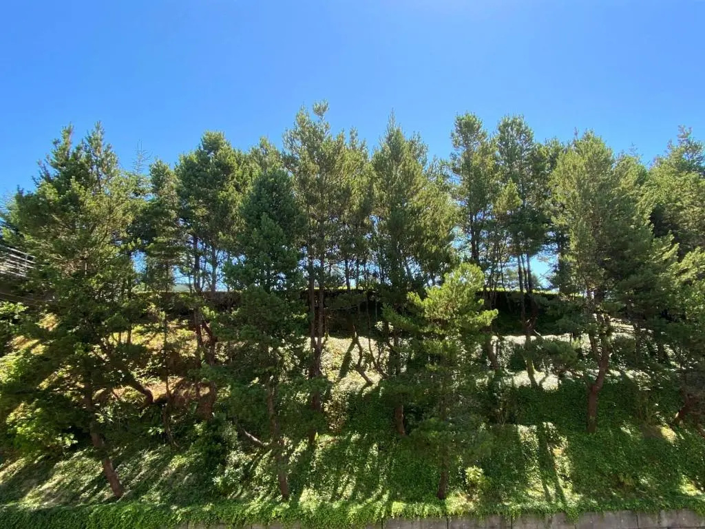 Best Western Plus Agate Beach Inn - Chambres