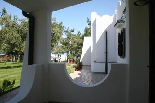 Balcony & Terrace