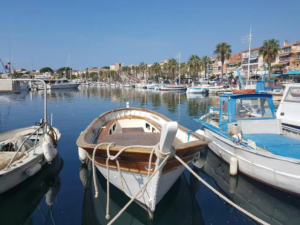 Bandol Danton