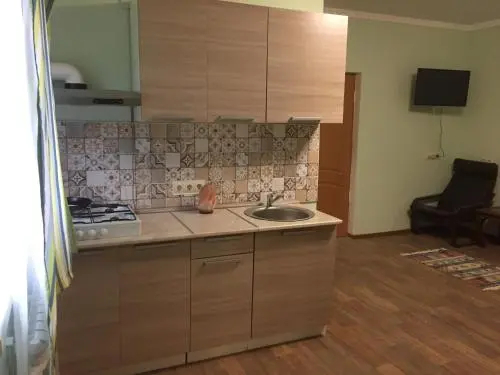 Vidnoye - фото 16