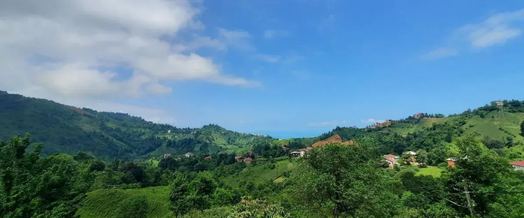 Patik Pansiyon