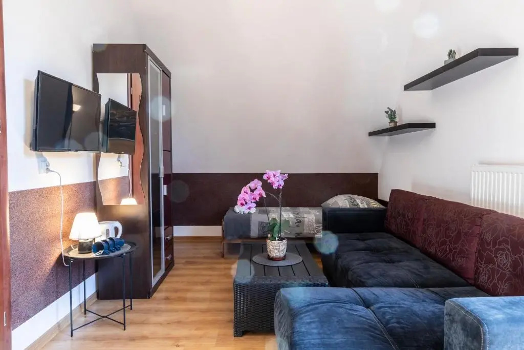 Brzoza w centrum Zakopanego - Chambres