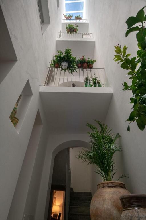 Image 13