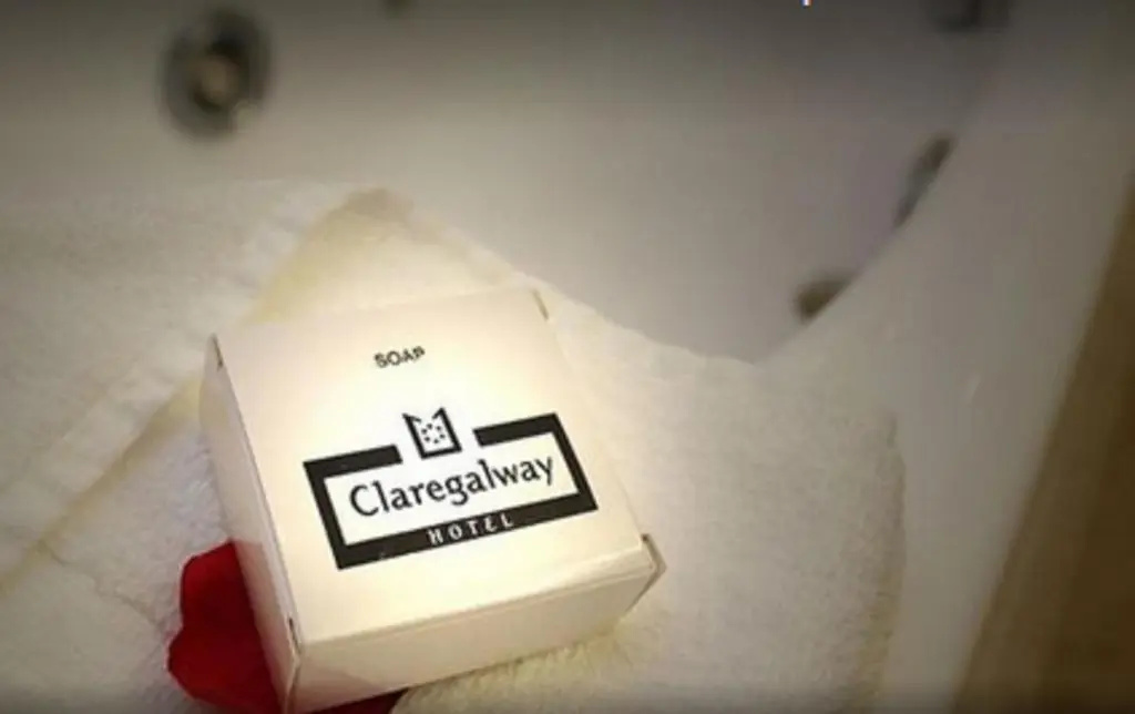 Claregalway Hotel - Chambres