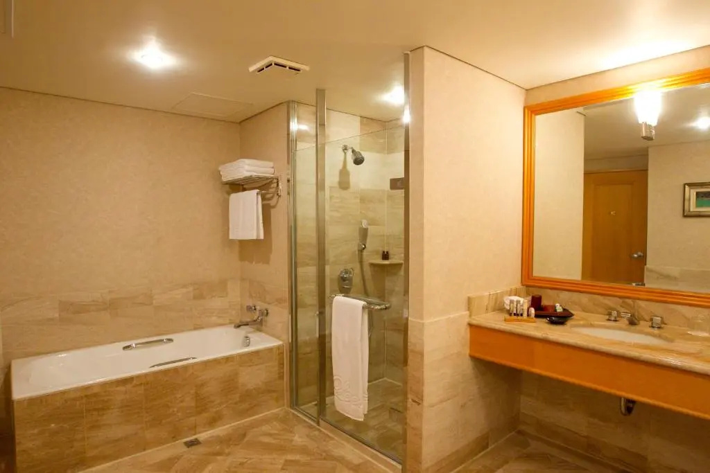 Deluxe Single room