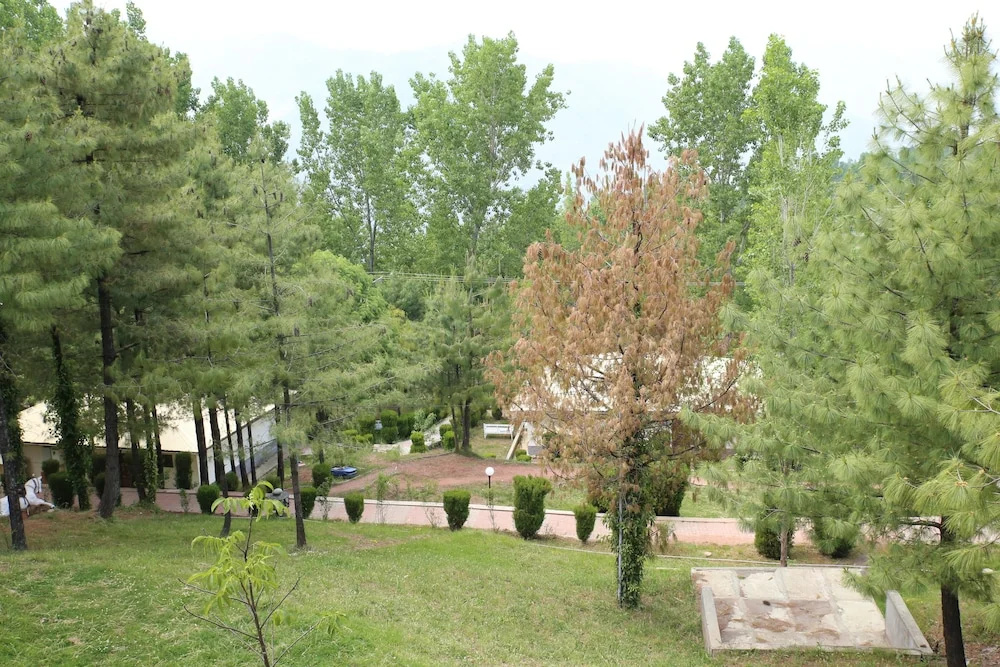 Chinar Family Resort - Chambres