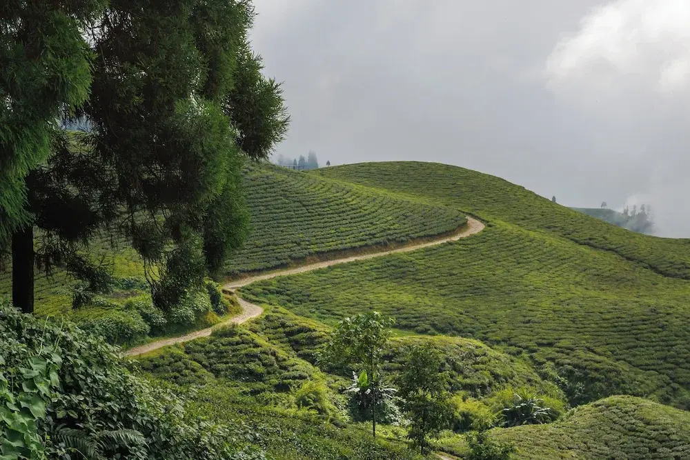 Hotel The Kingsbury — фото 4