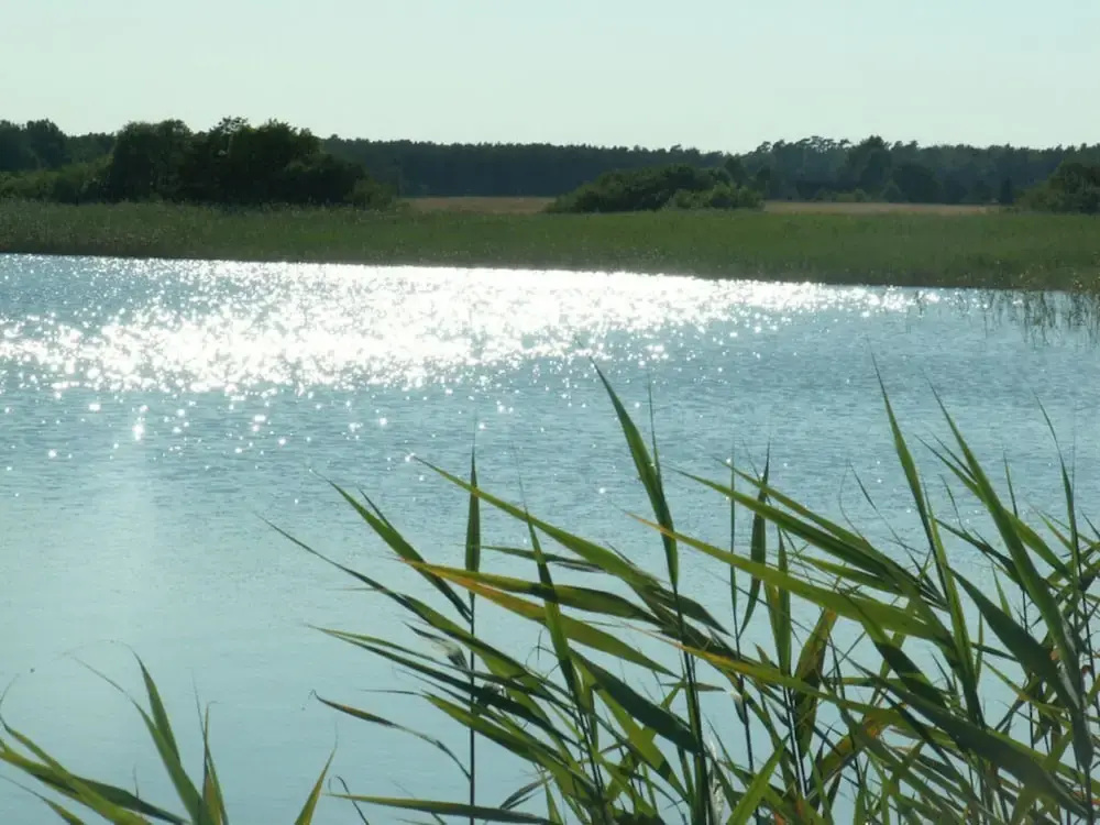 The Fischerhaus on Lake Malkwitzer See