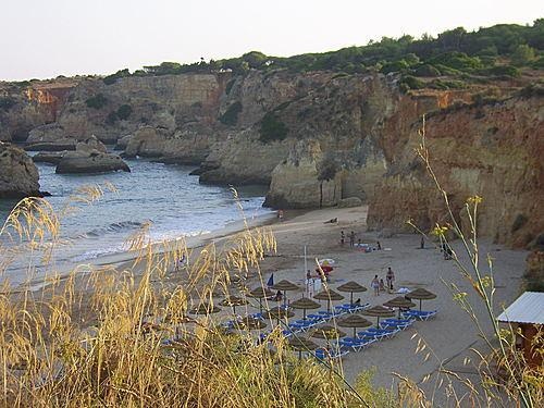 Beach & Waterfront